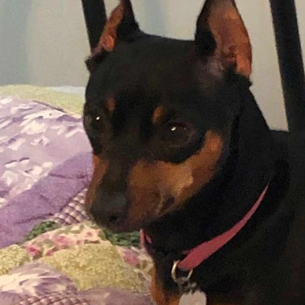 Sophia
