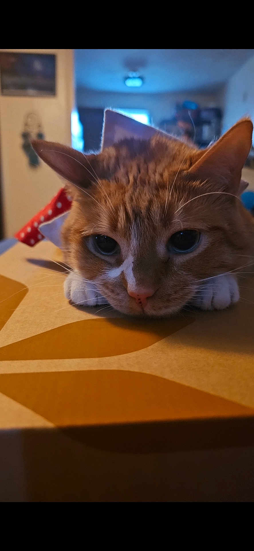 Maverick