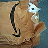 cat, white_cat, animal, pet, feline, wide_eyes, blue_eyes, pointed_ears, peeking, inside_bag, paper_bag, shopping_bag, brown_bag, crumpled_paper, black_handle, tiled_floor, indoor, cute, funny, portrait