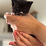 kitten, black_cat, hands, cute, pet, animal, whiskers, feline, small, fluffy, indoor, close_up, soft_focus, domestic_animal, young, mammal, holding, pink_paws, curious, blurred_background
