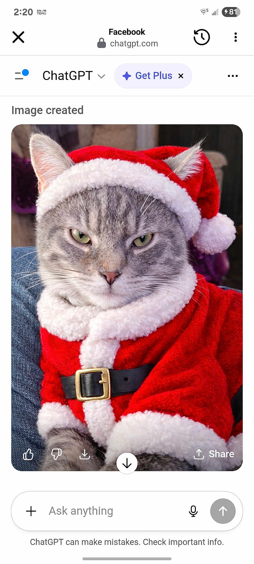 Grumpy Bear is registered to the contest to win money with this photo: animal, belt, cat, closeup, costume, cute, ears, expression, feline, festive, gray_tabby, holiday_costume, indoor, pet, portrait, red_clothing, santa_claus_outfit, santa_hat, whiskers, white_fur_trim