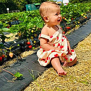 Alin joined the competition — help win amazing prizes! baby, child, strawberry, strawberry_field, dress, smiling, barefoot, outdoor, plants, greenery, sunny, nature, fruit, summer, happy, garden, earring, sitting, cute, portrait