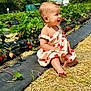 baby, child, strawberry, strawberry_field, dress, smiling, barefoot, outdoor, plants, greenery, sunny, nature, fruit, summer, happy, garden, earring, sitting, cute, portrait