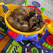 Margo joined the competition — help win amazing prizes! cat, calico_cat, toy, fisher_price, play_mat, toy_car, sleeping_cat, curled_up, indoor, floor, colorful, childrens_toy, carpet, wood_floor, pet, cozy, resting, animal, feline, playroom