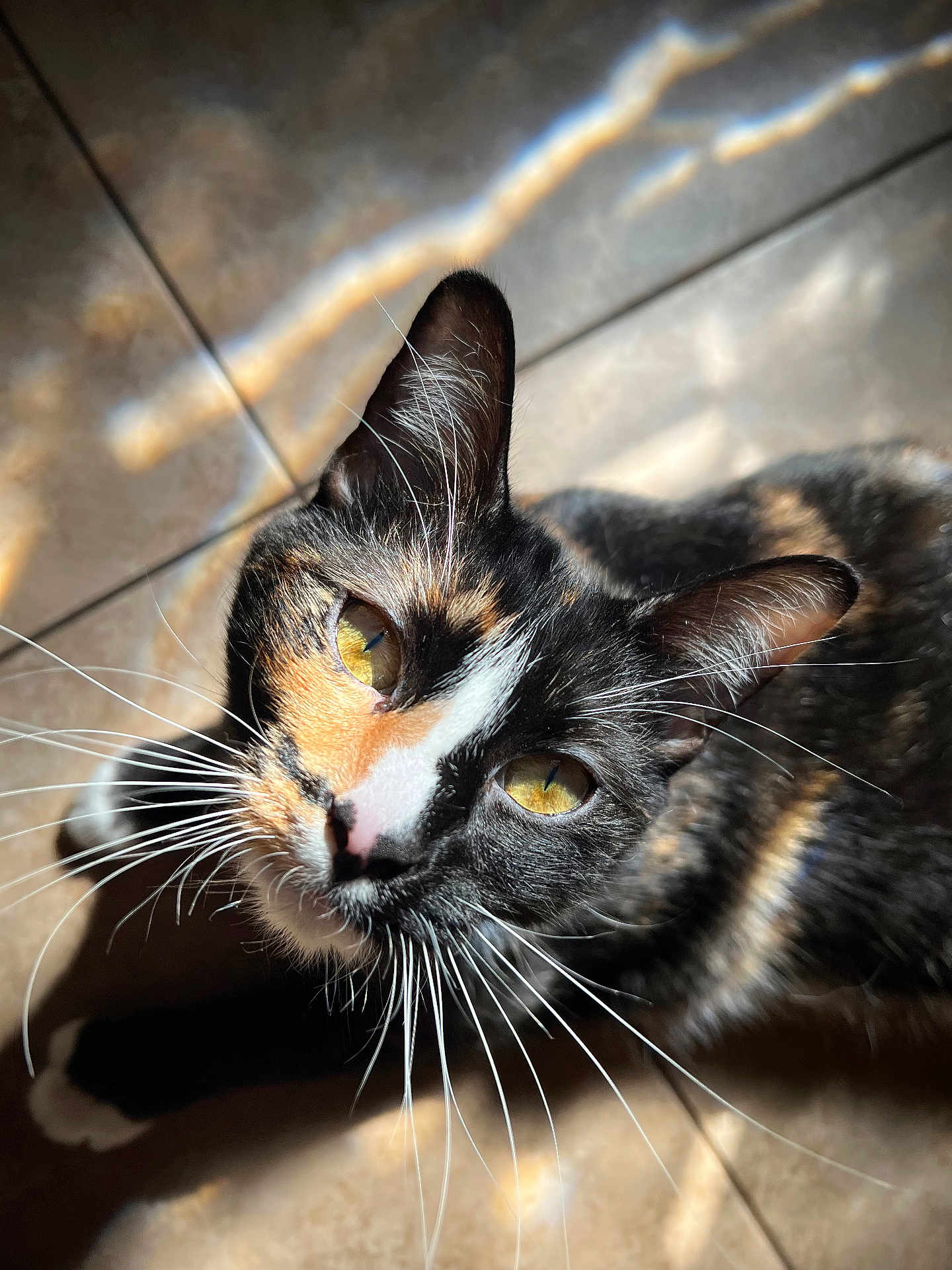 Emmie