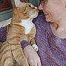 affection, arm, cat, close_up, comfort, cuddle, face, ginger_tabby, glasses, home, human_animal_bond, indoor, joy, love, nose_to_nose, person, pet, purple_sweater, smile, white_paws