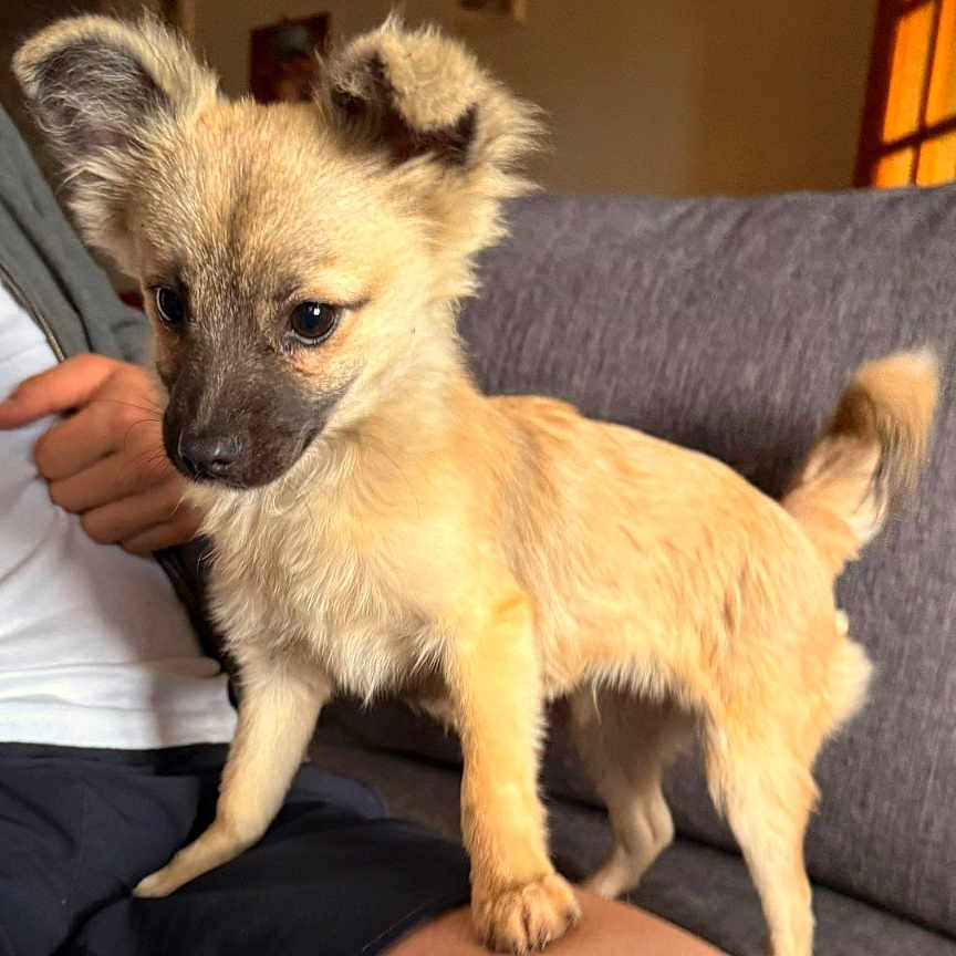Milo