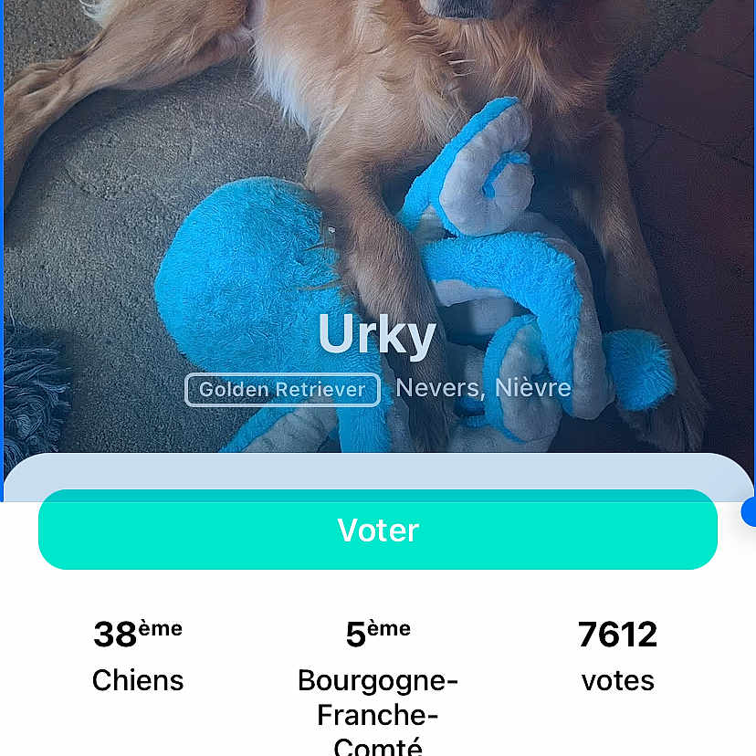 Urky
