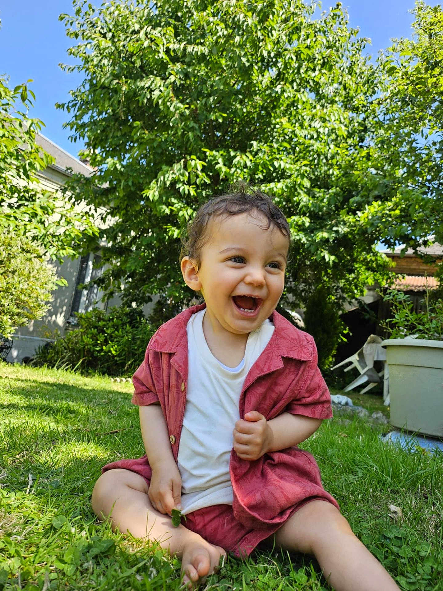 Daniel participe au concours pour gagner de l'argent avec cette photo : toddler, child, grass, outdoor, smiling, laughing, curly_hair, red_shirt, white_shirt, garden, greenery, sunlight, blue_sky, barefoot, nature, happy, summer, casual_clothing, sitting, playful