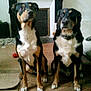 Kilou Et Vadim participe au concours pour gagner de l'argent avec cette photo :