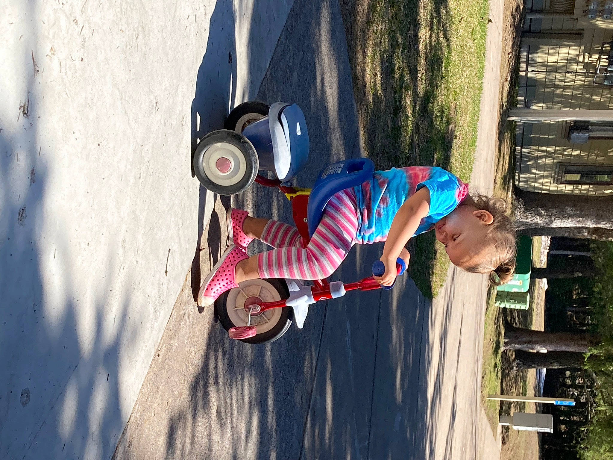 Mia joined the competition — help win amazing prizes! automotive_lighting, automotive_tire, automotive_wheel_system, bicycle_helmet, bicycle_wheel, blue, fun, hat, helmet, leisure, motor_vehicle, person, plant, recreation, rolling, street_fashion, sunglasses, tire, tree, vehicle