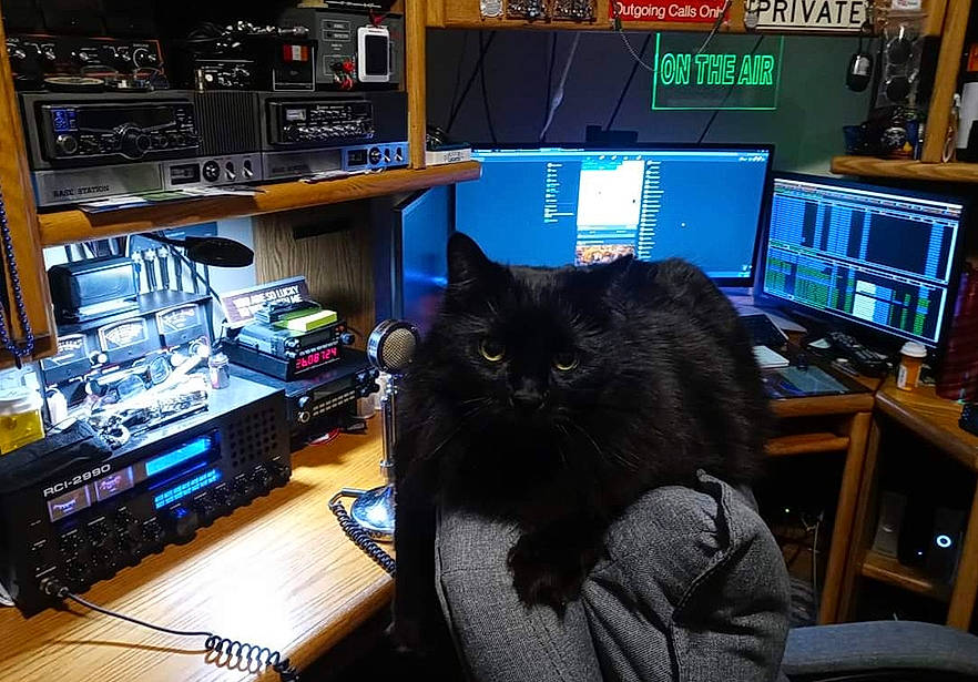 Marty joined the competition — help win amazing prizes! carnivore, cat, computer, computer_desk, computer_hardware, computer_keyboard, computer_monitor, desk, desktop_computer, electronic_device, felidae, furniture, gadget, input_device, laptop, peripheral, personal_computer, small_to_medium_sized_cats, table, whiskers