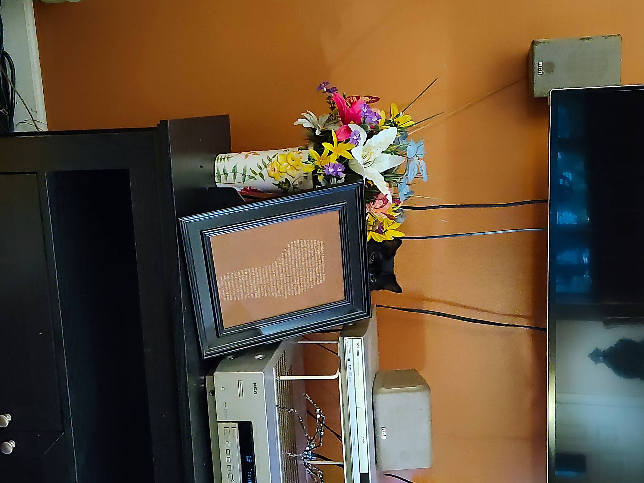 Mckenzie is registered to the contest to win money with this photo: audio_equipment, cabinetry, computer_component, computer_hardware, computer_monitor, desktop_computer, display_device, electrical_wiring, flower, flowerpot, gas, houseplant, machine, personal_computer, plant, room, shelving, visual_arts, wood