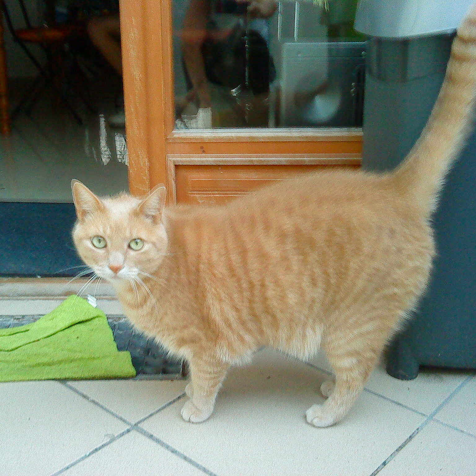 Caramel participe au concours pour gagner de l'argent avec cette photo :