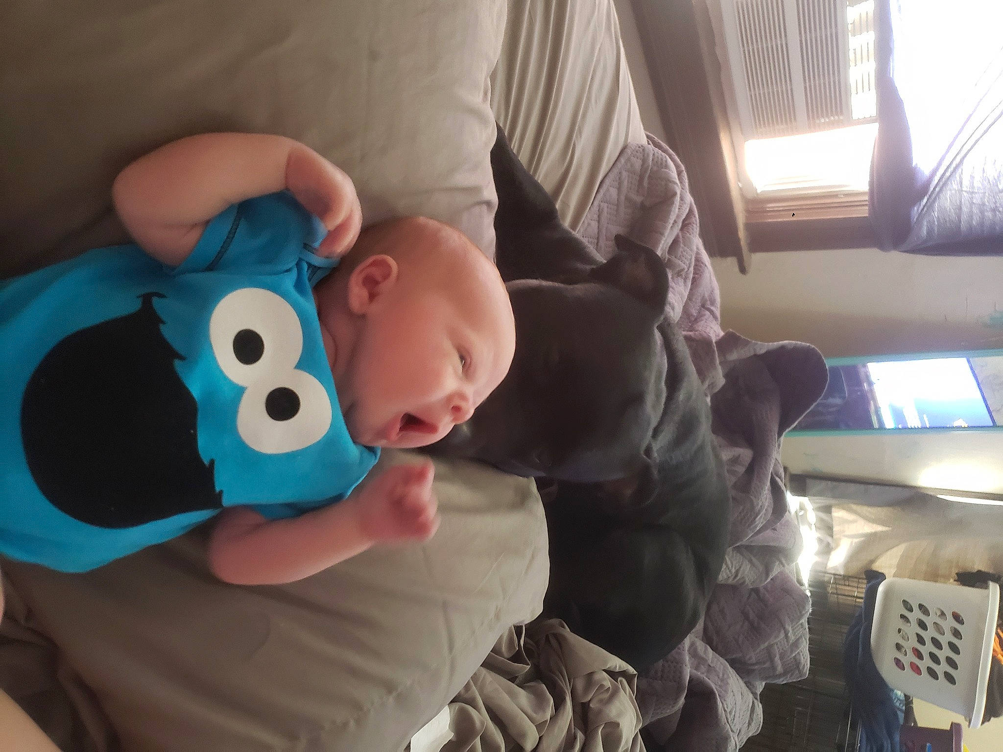 Heath is registered to the contest to win money with this photo: baby_toys, blue, child, finger, furniture, hand, person, play, plush, room, snout, stuffed_toy, textile, toddler, toy