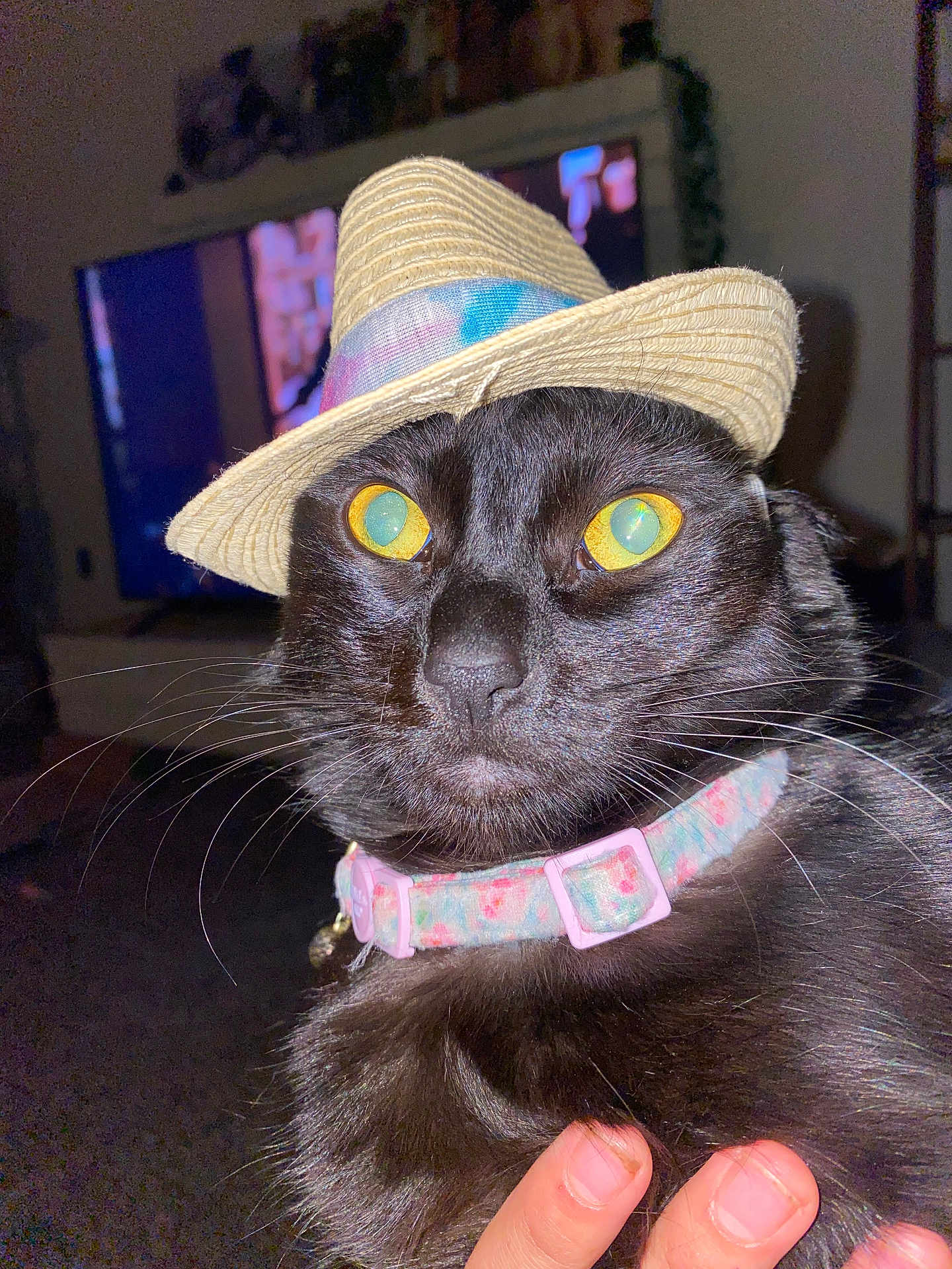 Barbara