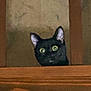 Meep is registered to the contest to win money with this photo: black_cat, cat, pet, animal, indoor, wood, curious, peeking, wide_eyes, feline, ears, face, looking, house, shelf, furniture, mystery, watching, alert, background