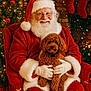 Gracie Lynn joined the competition — help win amazing prizes! beard, celebration, christmas_decorations, christmas_tree, cozy, curly_hair, dog, festive, fur_trim, glasses, holiday, indoors, red_chair, red_suit, santa_claus, smile, snowflakes, stockings, warm_lighting, white_gloves
