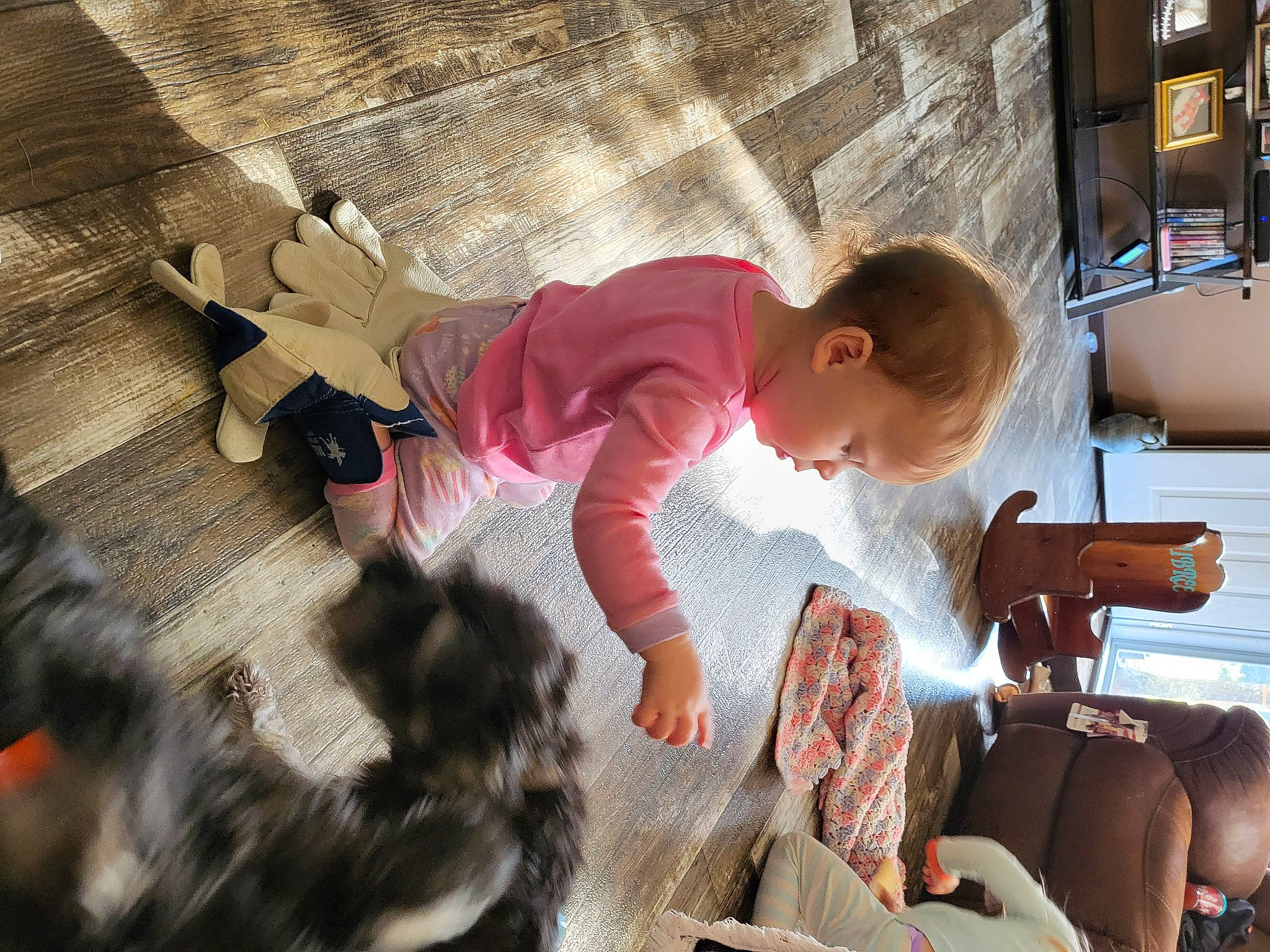 Charlie joined the competition — help win amazing prizes! child, comfort, event, eyewear, flooring, fun, fur, happy, leisure, play, recreation, room, sitting, toddler, tree, vacation