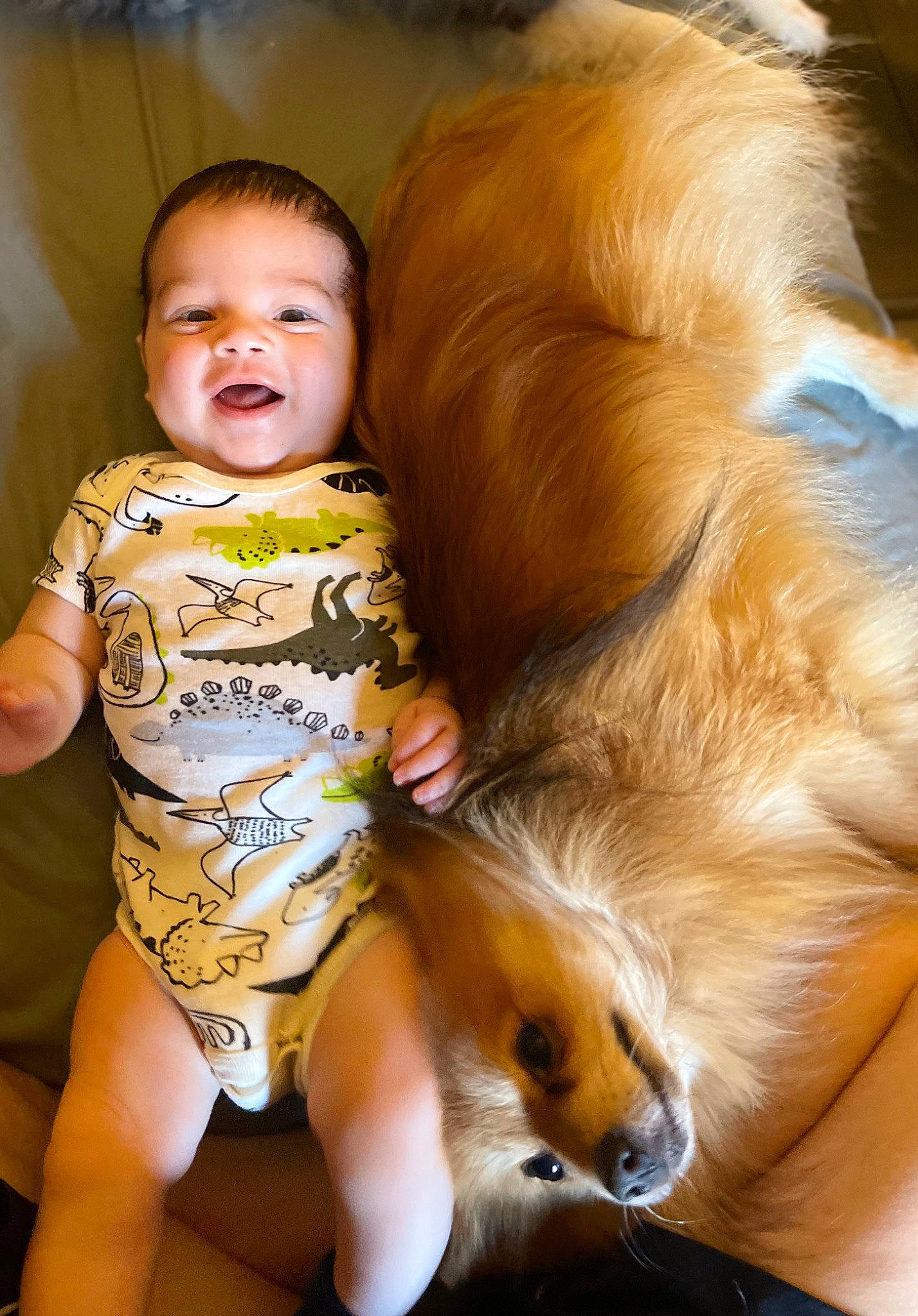 Anakin is registered to the contest to win money with this photo: baby, baby_toddler_clothing, barefoot, carnivore, child, comfort, companion_dog, dog_breed, fawn, fun, fur, happy, human_leg, person, play, sitting, smile, sporting_group, thigh, toddler