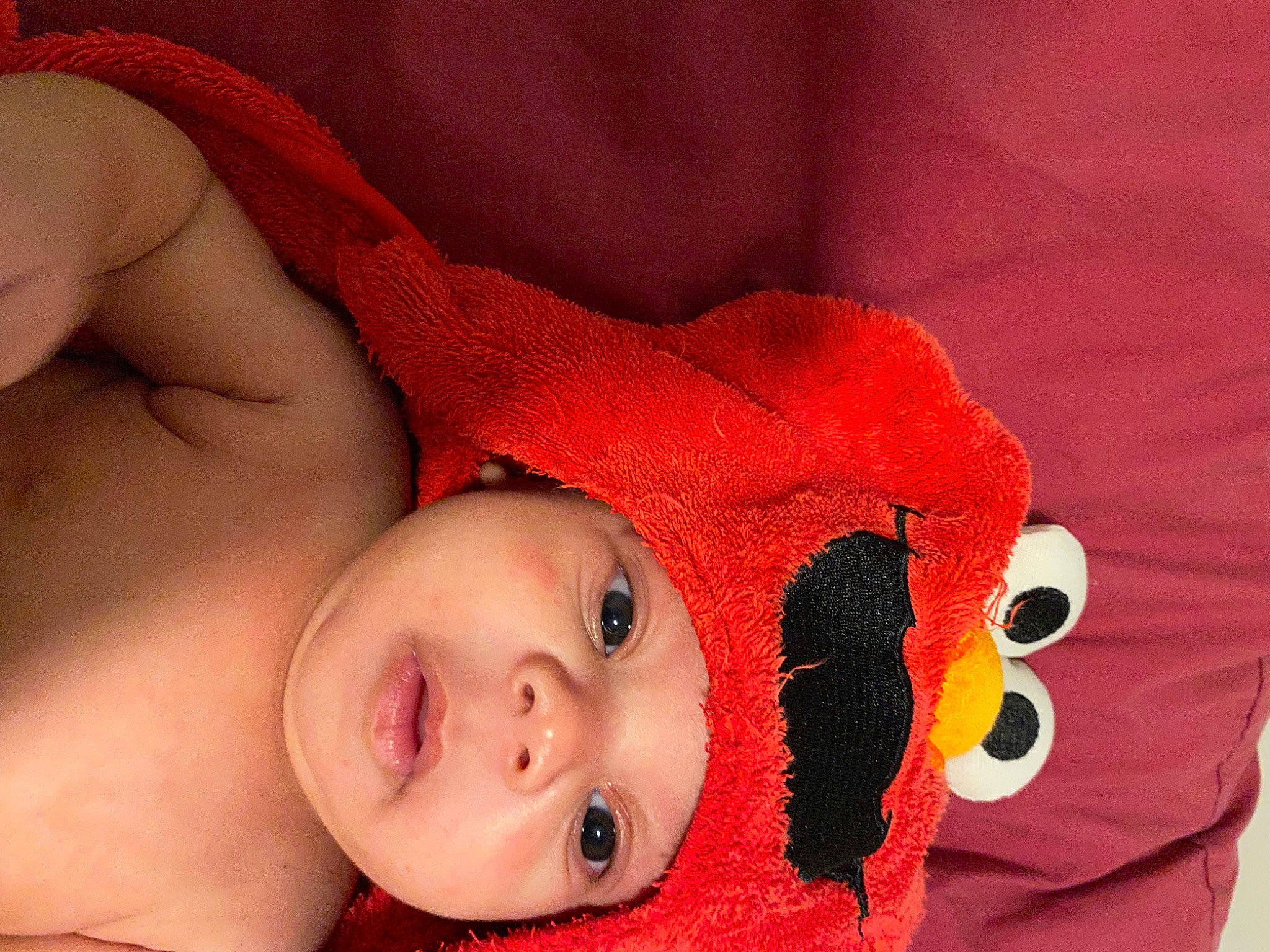 Maison is registered to the contest to win money with this photo: baby, baby_sleeping, baby_toddler_clothing, carmine, cheek, chest, child, close_up, comfort, eyelash, headgear, headwear, lip, mouth, navel, neck, nose, orange, person, red