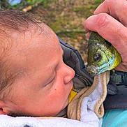 Oliver is registered to the contest to win money with this photo: baby, child, face, infant, person, fish, hand, outdoor, nature, greenery, curious, closeup, portrait, baby_carrier, clothing, skin, head, animal, water, exploration