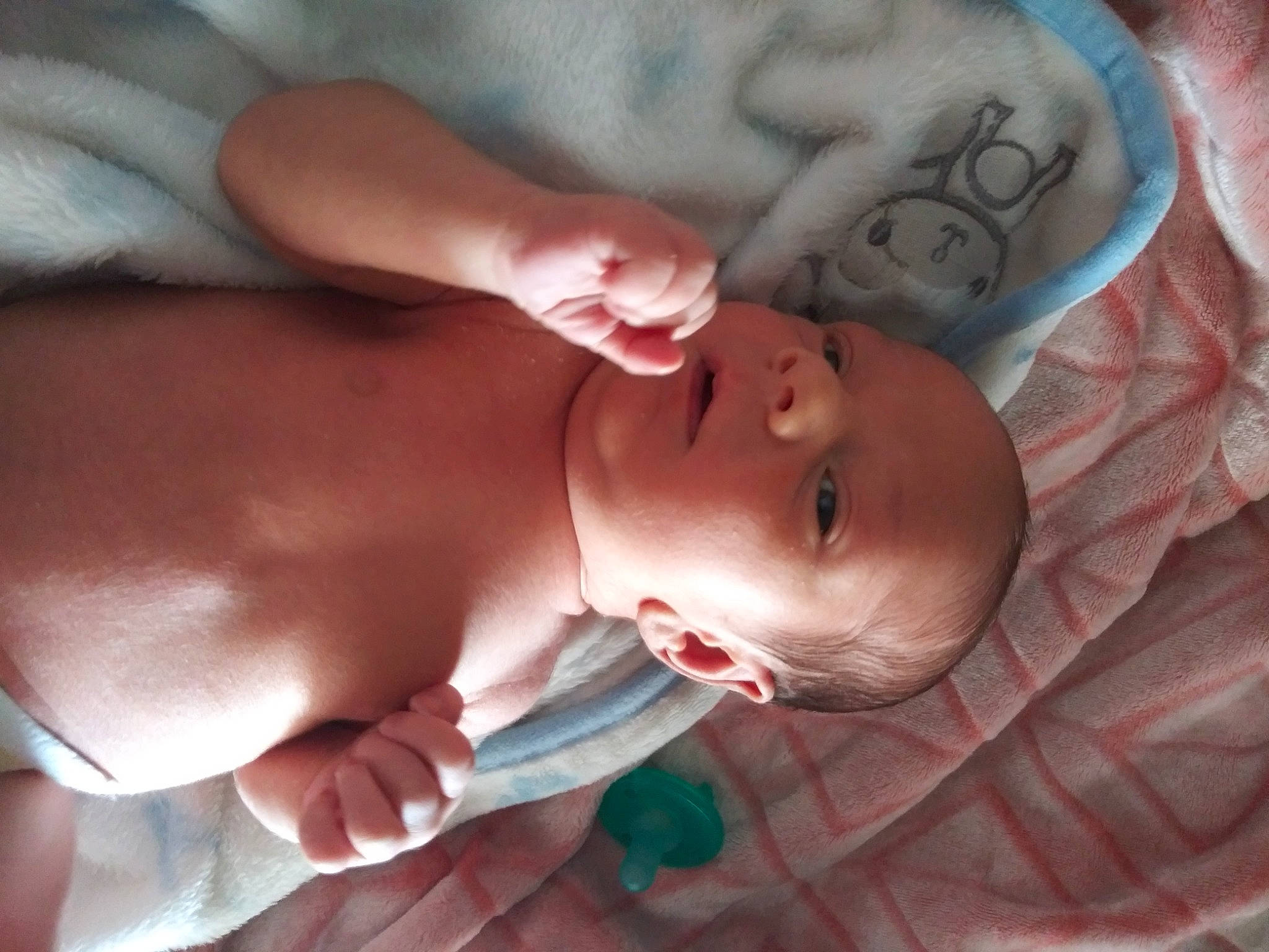 Brooks is registered to the contest to win money with this photo: baby, birth, cheek, child, childbirth, ear, eye, face, finger, flesh, hand, head, lip, mouth, muscle, neck, nose, person, skin, thumb