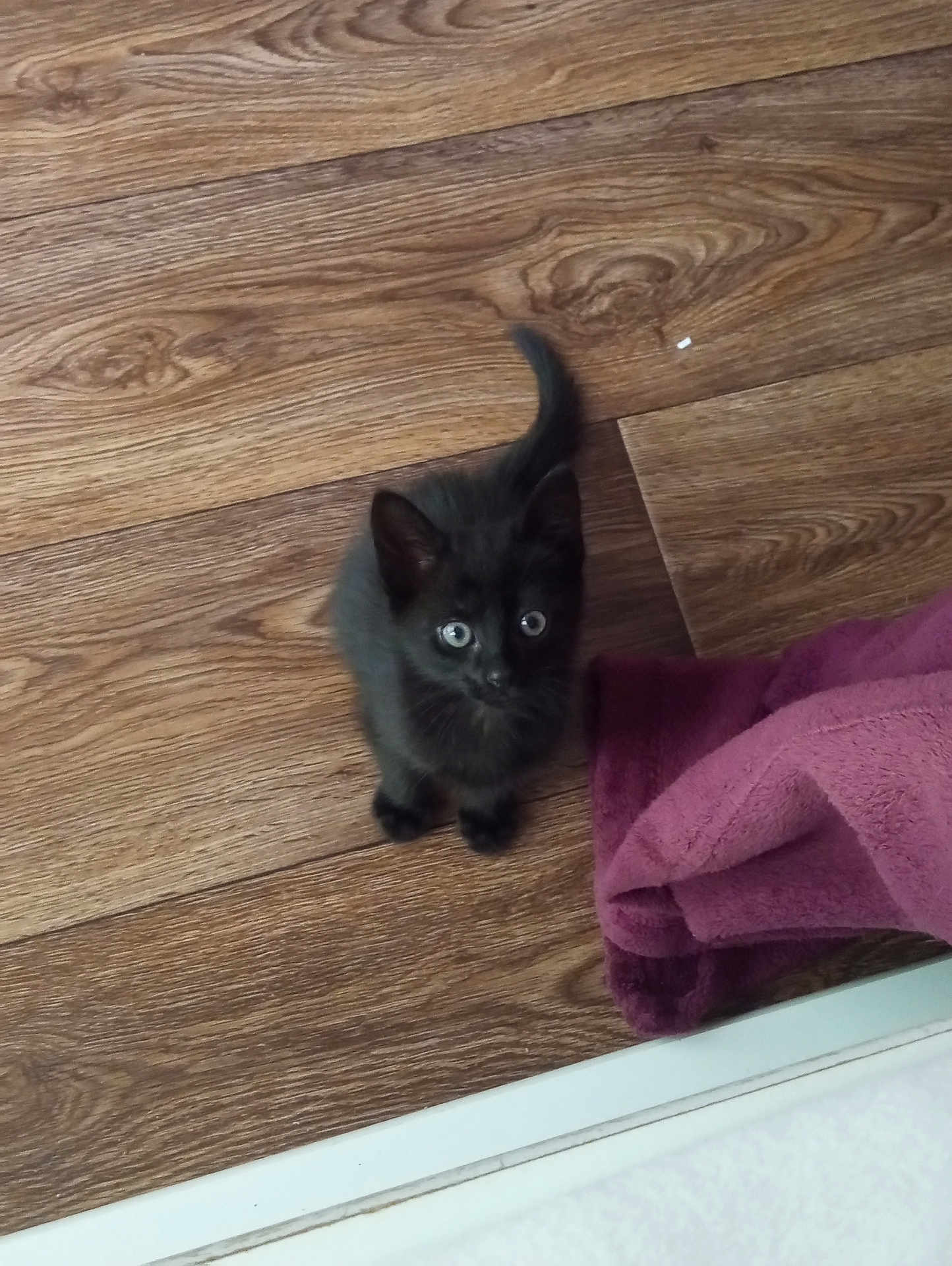 Binx