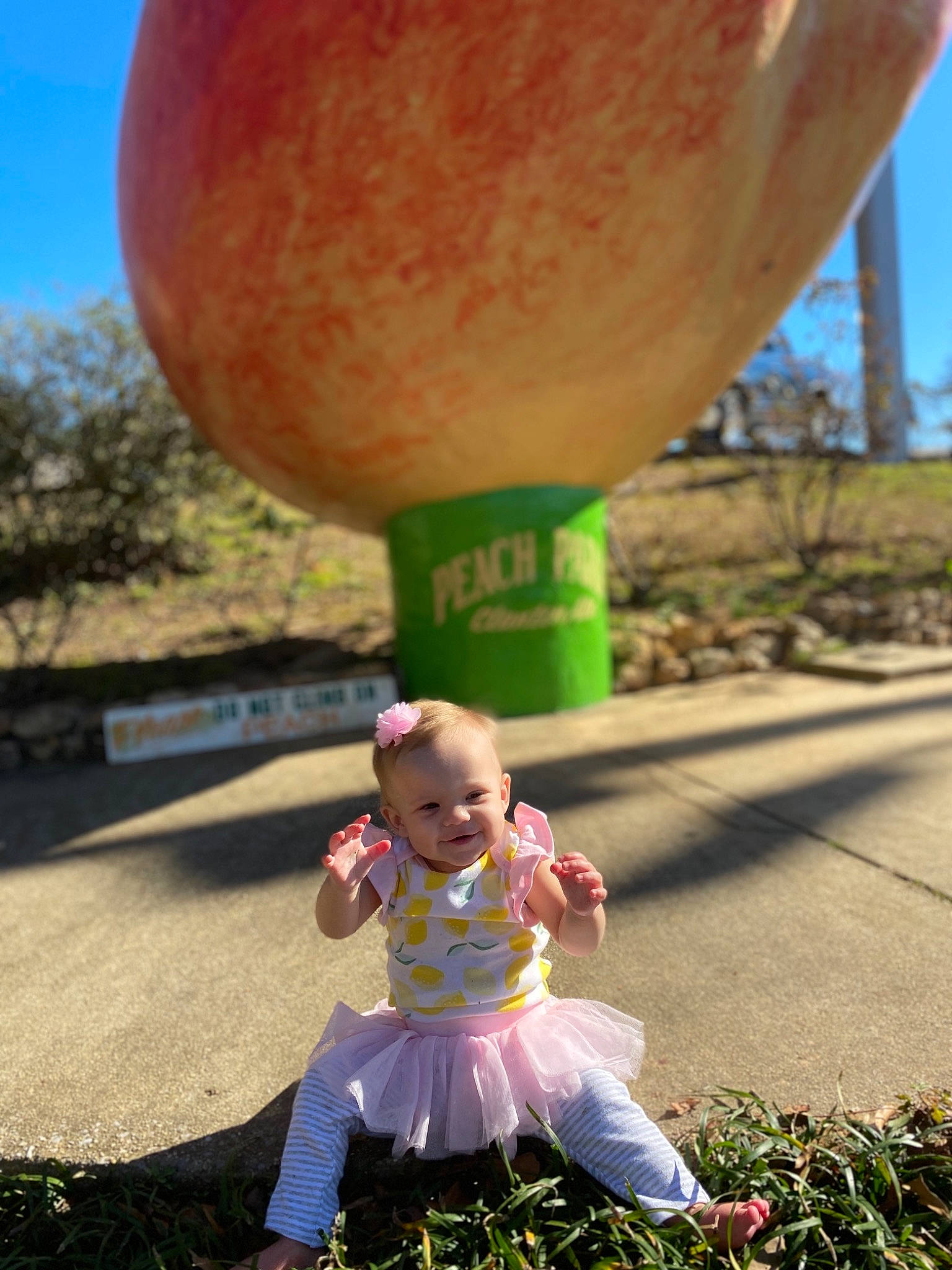 Mary Alice is registered to the contest to win money with this photo: balloon, child, fun, grass, green, happy, leaf, leisure, party_supply, person, photography, pink, plant, play, recreation, sky, smile, toddler, tree, vacation