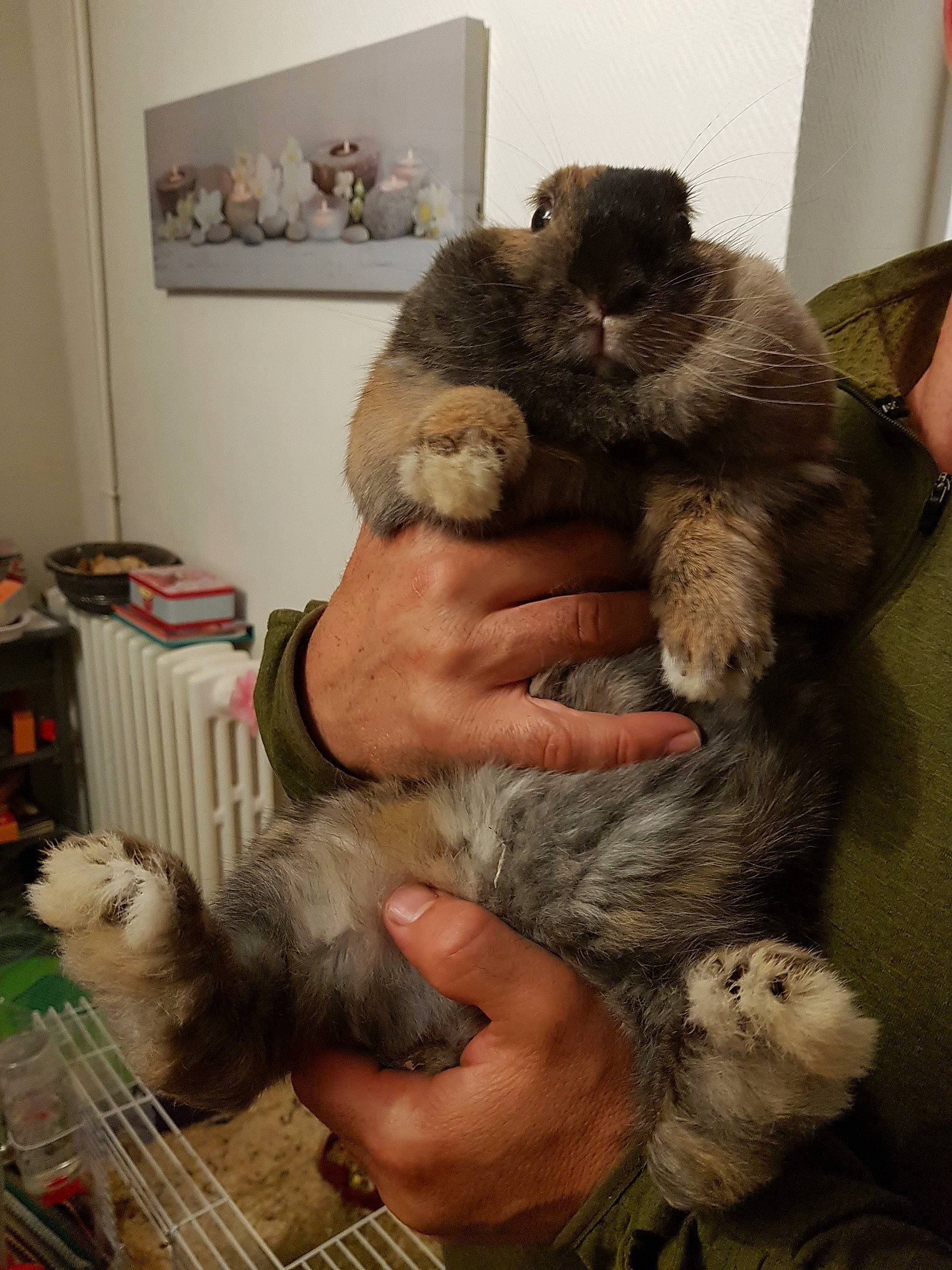 Maïzena