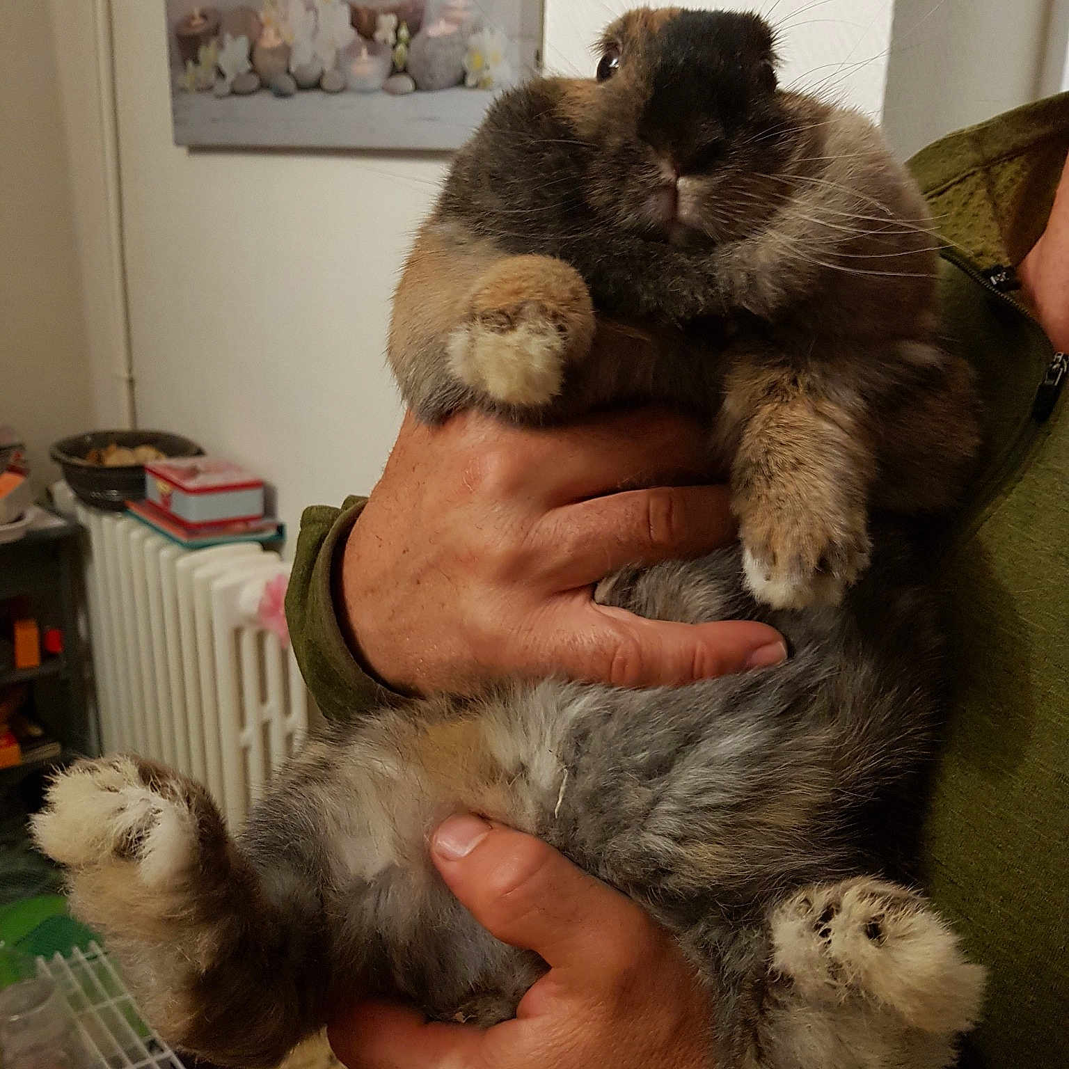 Maïzena