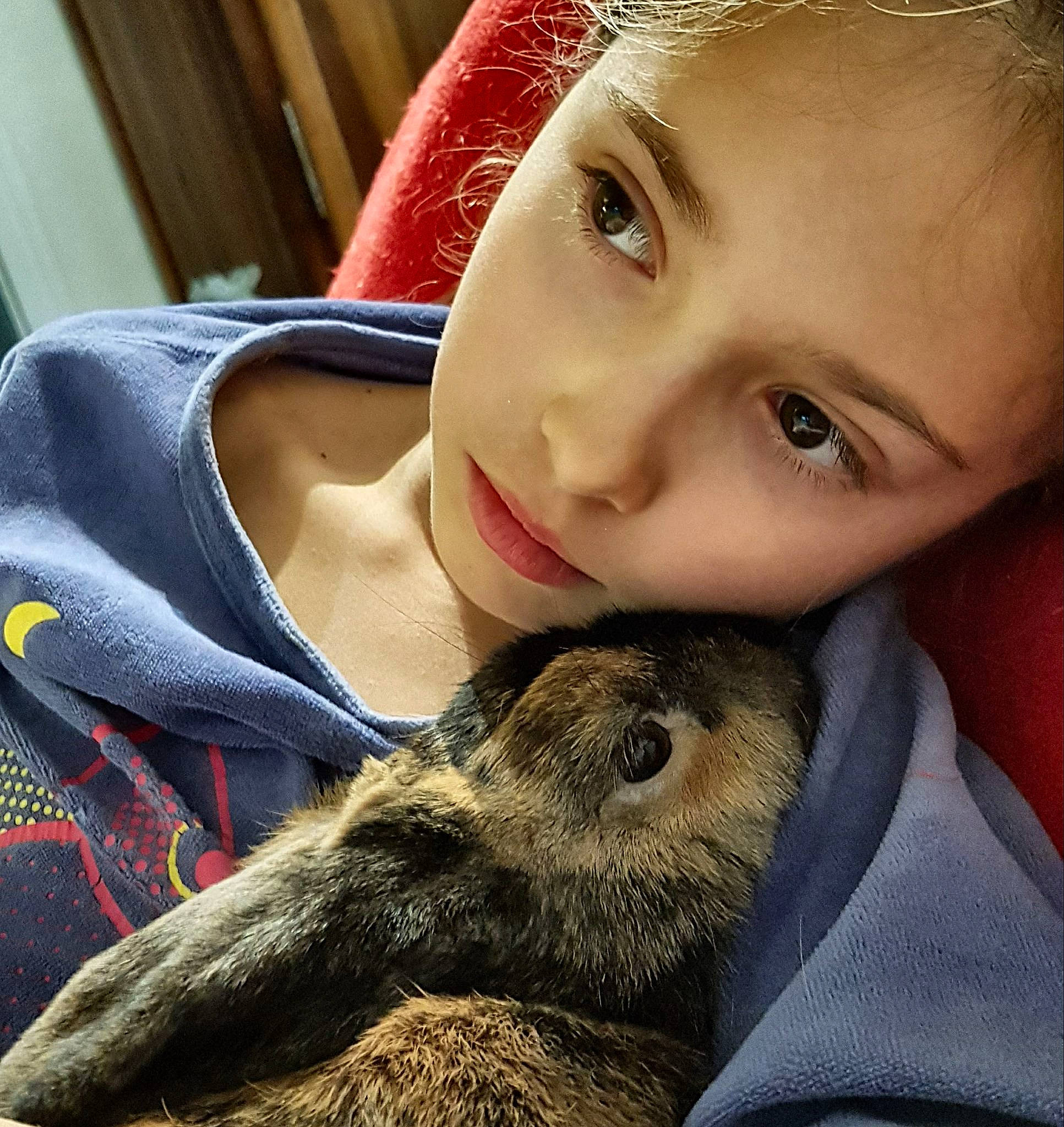 Maïzena a rejoint le concours — aidez-le/la à gagner de superbes lots ! child, domestic_rabbit, ear, fawn, fur, nose, photography, rabbit, rabbits_and_hares, skin, whiskers