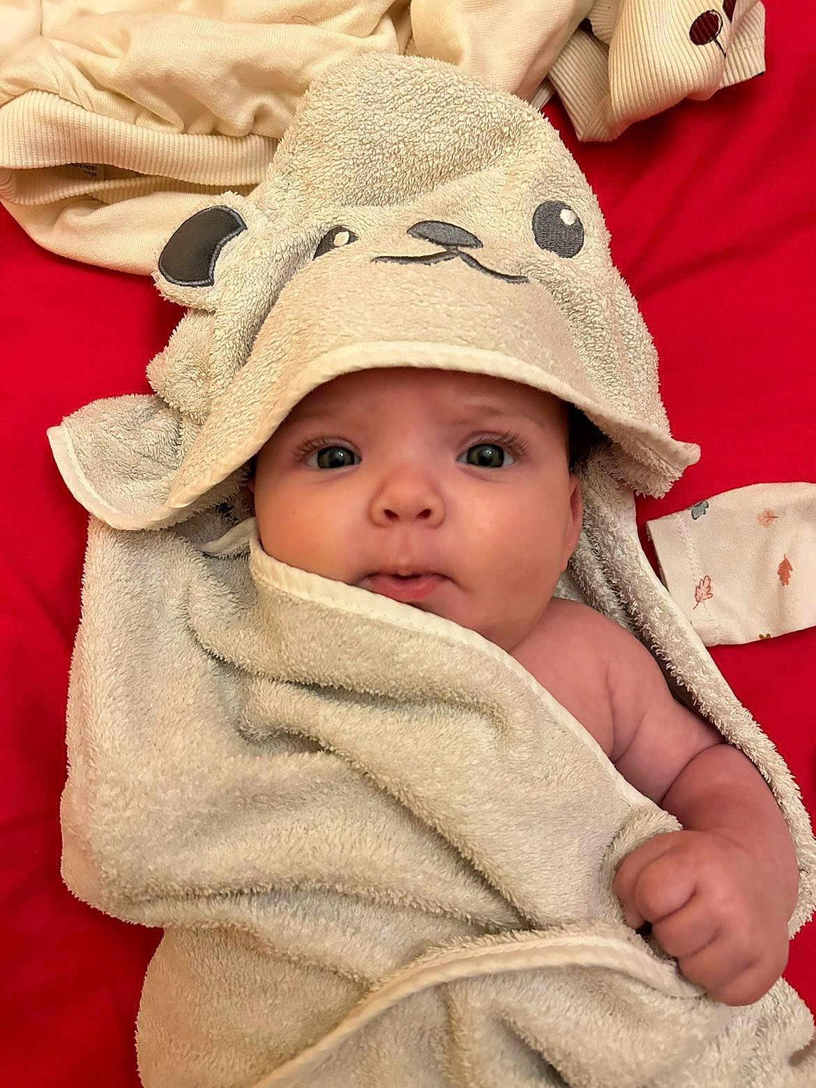 Emy a rejoint le concours — aidez-le/la à gagner de superbes lots ! baby, towel, hood, infant, wrapped, cute, red_background, face, hand, skin, eyes, blanket, clothing, expression, portrait, newborn, soft, child, lying_down, indoor