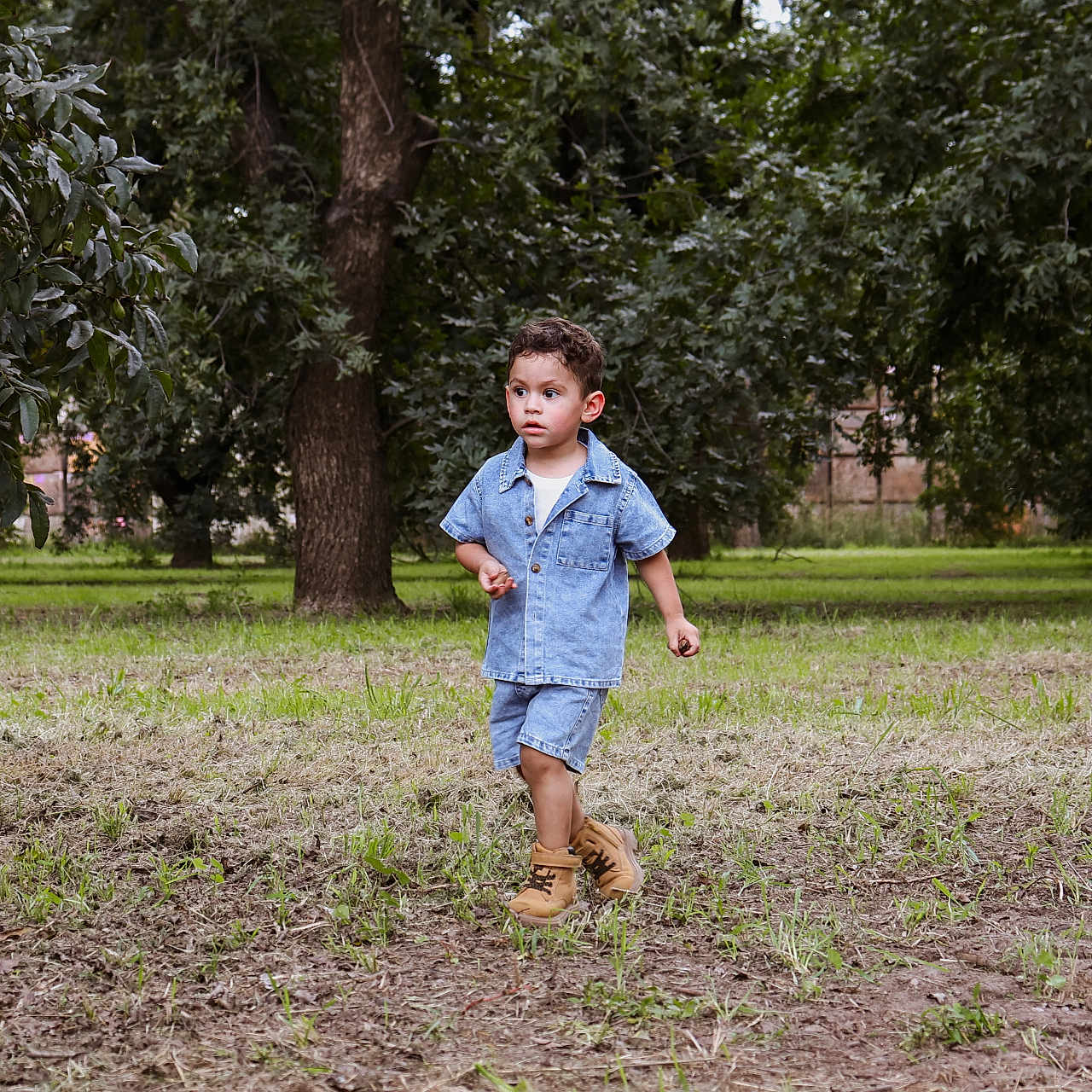 Christopher joined the competition — help win amazing prizes! child, toddler, boy, outdoor, park, walking, denim, shirt, shorts, boots, fashion, portrait, nature, trees, grass, lawn, forest, daylight, full_body, childhood