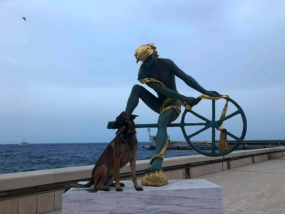 Pango participe au concours pour gagner de l'argent avec cette photo : art, carnivore, cloud, dog, dog_breed, fawn, fun, horizon, human_leg, knee, lake, leisure, monument, recreation, sculpture, sky, statue, thigh, water, wood