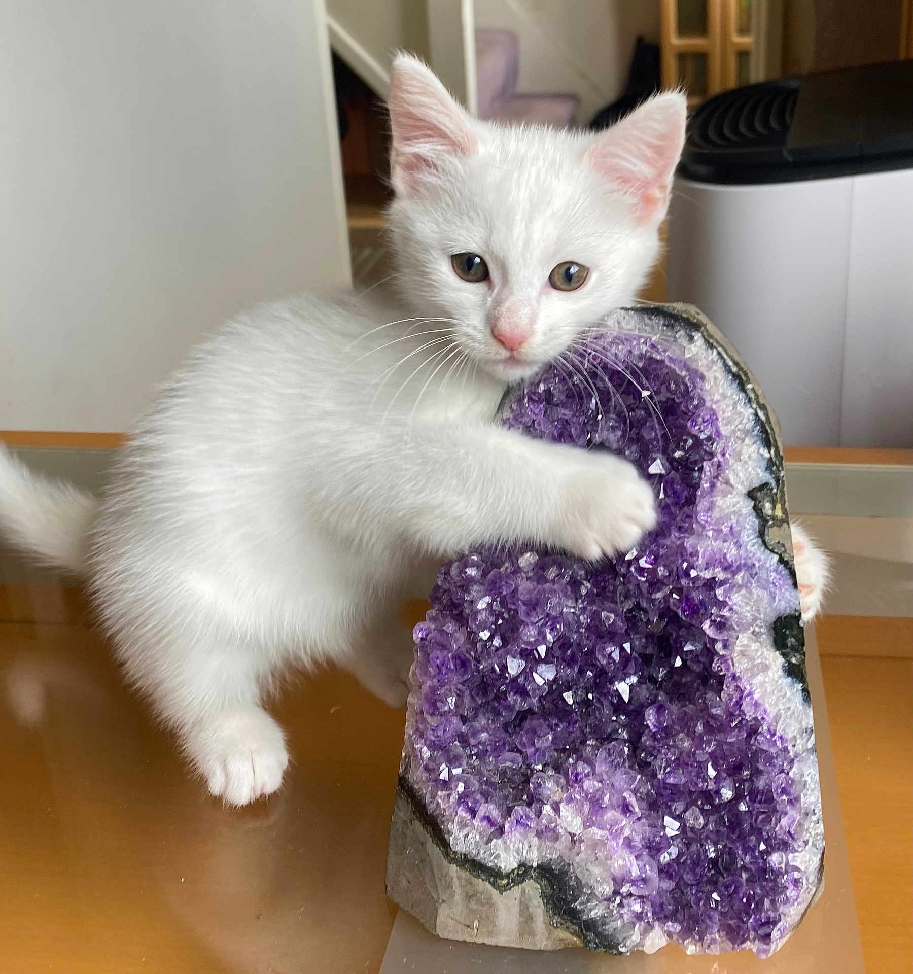 Luna