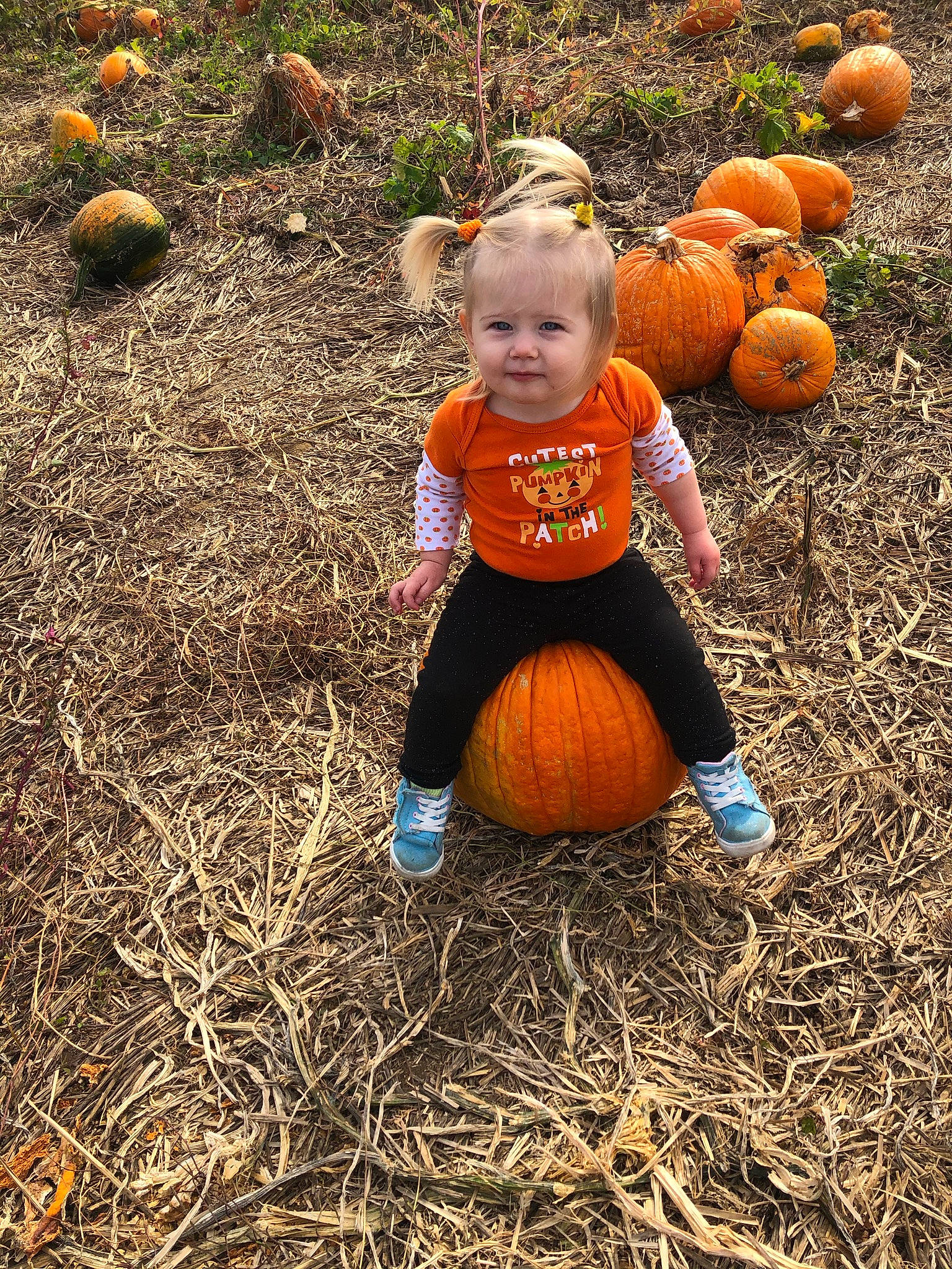 Jazmine joined the competition — help win amazing prizes! _and_melon_family, _gourd, baby, baby_toddler_clothing, calabaza, cucumber, cucurbita, gourd, hay, local_food, natural_foods, orange, people_in_nature, person, produce, pumpkin, squash, straw, toddler, vegan_nutrition