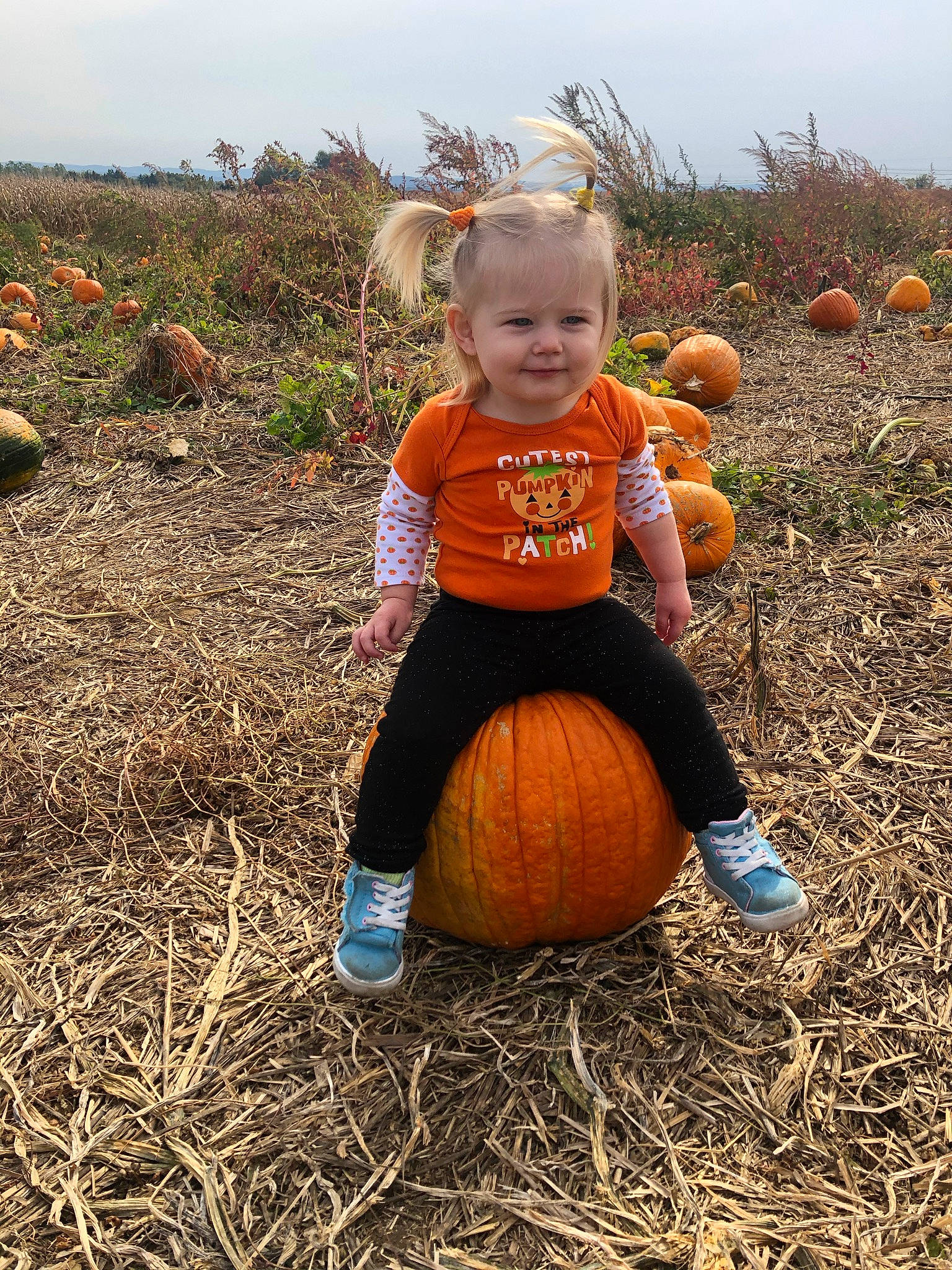 Jazmine is registered to the contest to win money with this photo: _and_melon_family, _gourd, agriculture, baby_toddler_clothing, calabaza, cucumber, cucurbita, field, gourd, hay, joy, local_food, natural_foods, people_in_nature, person, prairie, produce, pumpkin, squash, straw