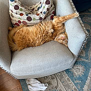 Leonard is registered to the contest to win money with this photo: cat, orange_cat, fluffy, armchair, pillow, stretching, sleepy, cozy, indoor, rug, patterned_rug, wood_floor, white_socks, relaxed, pet, feline, home, comfortable, cute, nap
