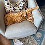 cat, orange_cat, fluffy, armchair, pillow, stretching, sleepy, cozy, indoor, rug, patterned_rug, wood_floor, white_socks, relaxed, pet, feline, home, comfortable, cute, nap