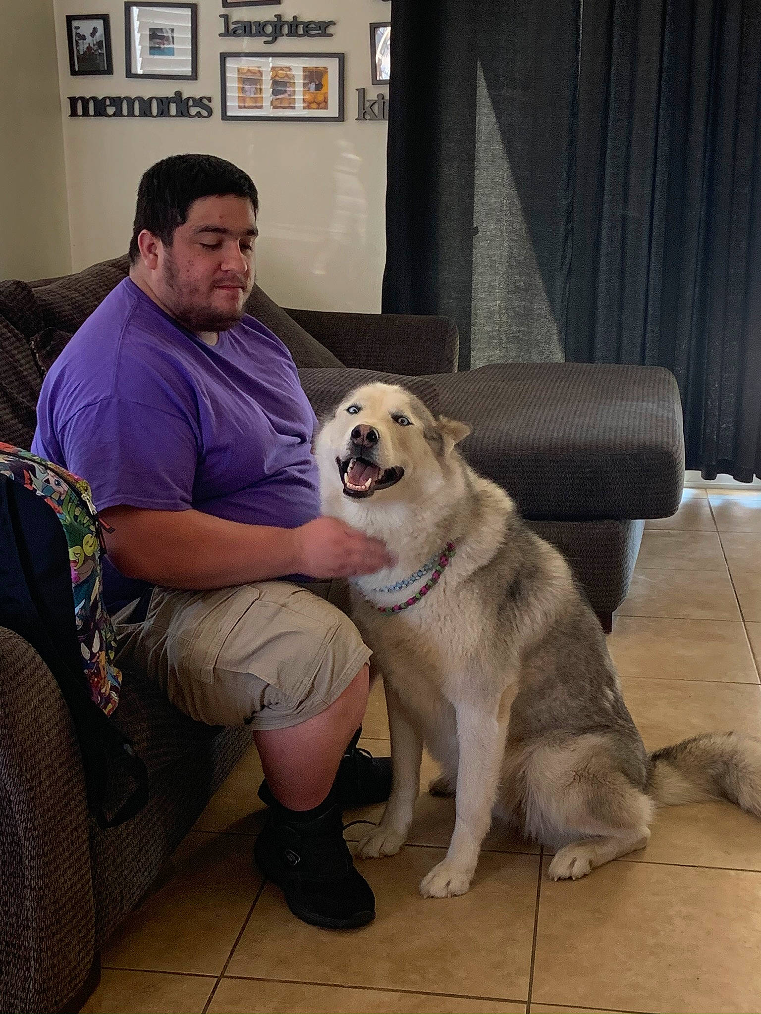 Bella is registered to the contest to win money with this photo: canidae, carnivore, comfort, companion_dog, couch, curtain, dog, dog_breed, event, fawn, flooring, foot, fur, non_sporting_group, picture_frame, sitting, snout, sporting_group, working_animal, working_dog