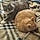 Odie An Sammy