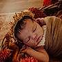 newborn, baby, sleeping, flower_crown, blanket, brown, red_flowers, cozy, soft_texture, portrait, infant, peaceful, wrapped, cute, close_up, indoor, decor, resting, child, warm_colors