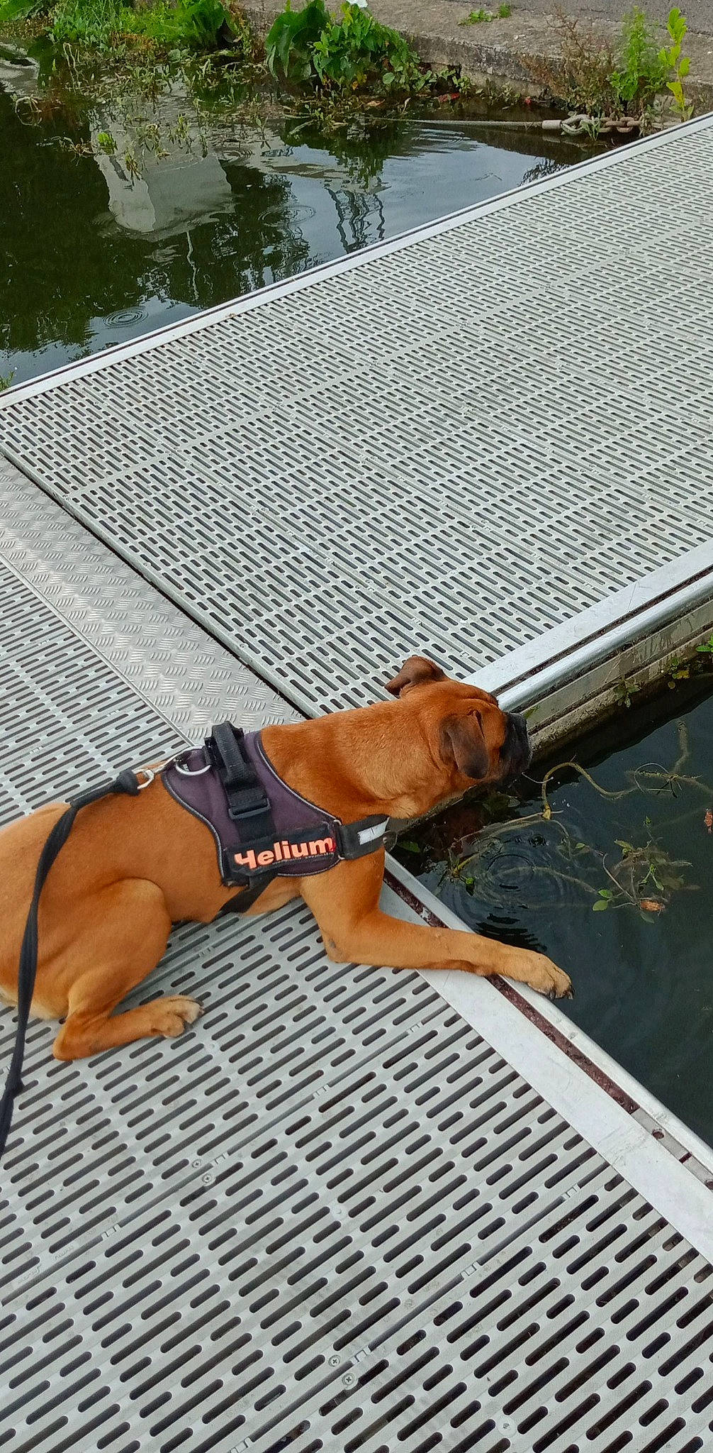 Helium a rejoint le concours — aidez-le/la à gagner de superbes lots ! chest, elbow, foot, hat, human_leg, knee, leg, leisure, line, mesh, net, outdoor_furniture, roof, shade, sunglasses, swimming_pool, thigh, undergarment, underpants, wood