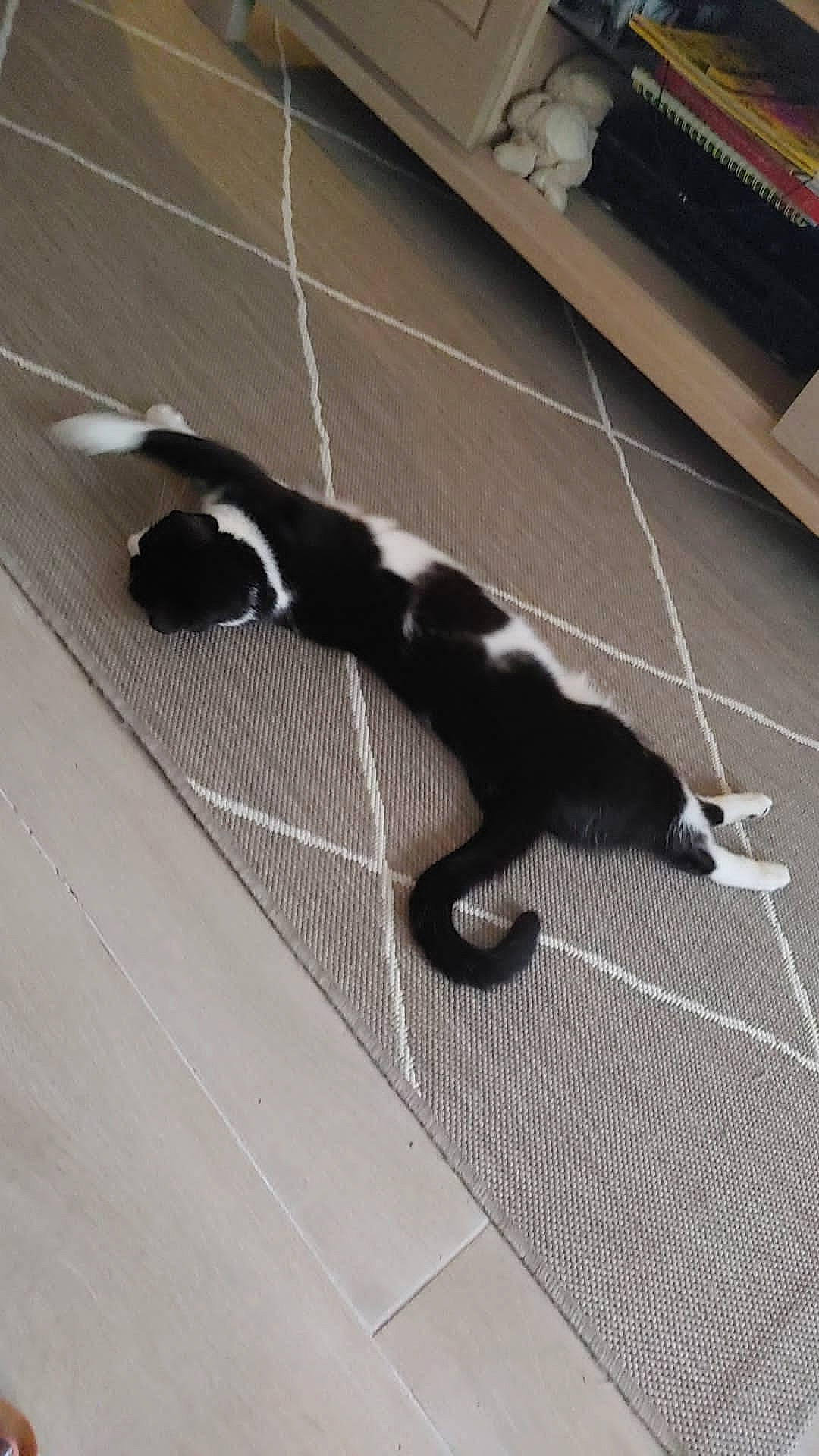 Yoda