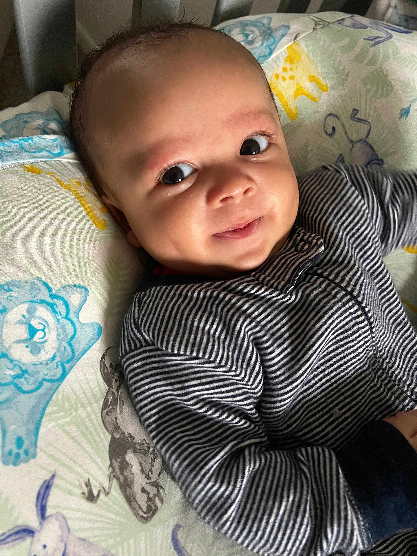 Jaxson joined the competition — help win amazing prizes! baby, infant, smile, face, striped_clothing, cushion, animal_pattern, indoor, closeup, child, cute, portrait, young_child, baby_clothes, relaxing, happy, person, head, expression, comfort