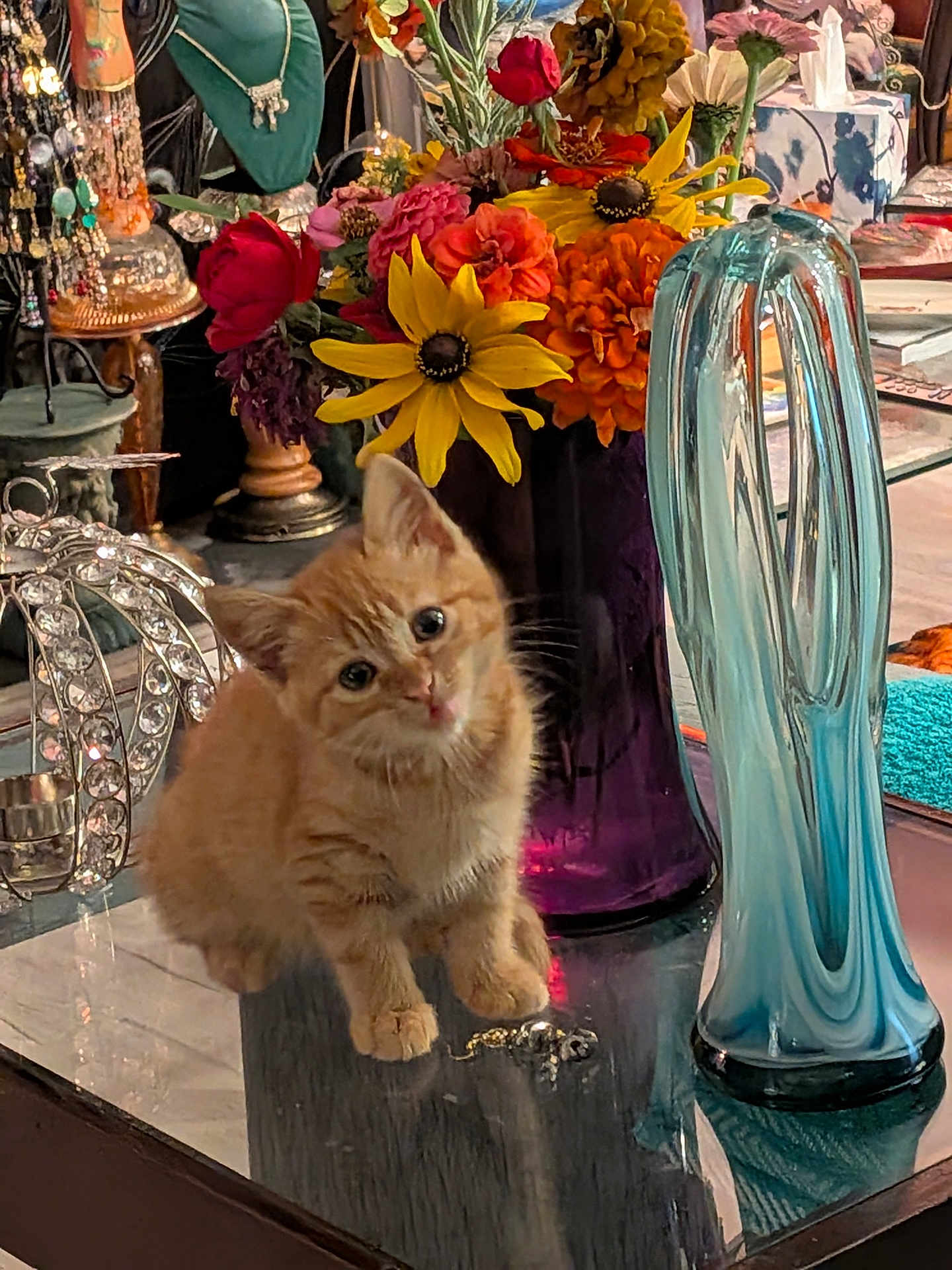 Marmalade