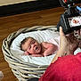 newborn, baby, basket, camera, photography, infant, white_fabric, wood_floor, hand, adult, portrait, cute, soft_lighting, indoor, person, newborn_photo_shoot, cozy, relaxed, sleepy, close_up