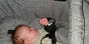 Octavia joined the competition — help win amazing prizes! baby, stroller, blanket, sleeping, child, infant, gray, comfort, cozy, outdoor, person, seat, rest, young, cushion, fabric, head, baby_clothes, transport, nap