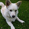 Honey participe au concours pour gagner de l'argent avec cette photo :